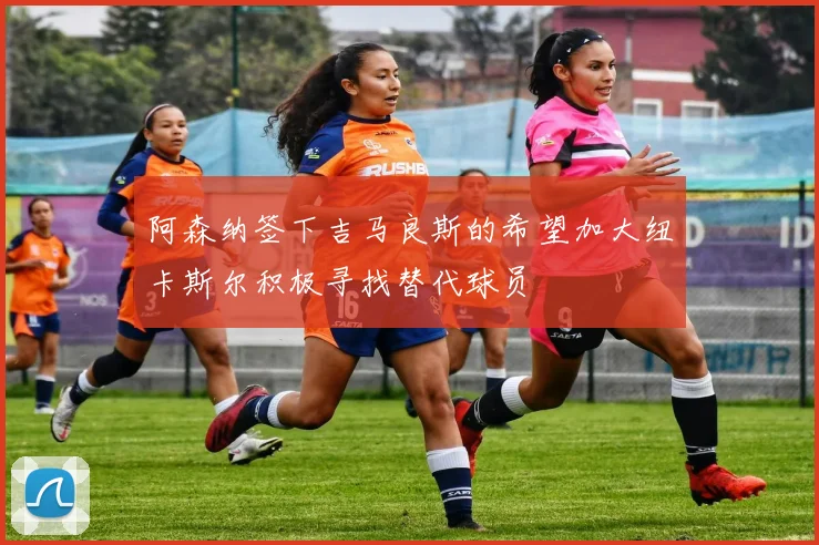 阿森纳签下吉马良斯的希望加大纽卡斯尔积极寻找替代球员